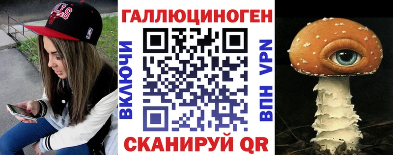 Псилоцибиновые грибы Psilocybe  Электрогорск 